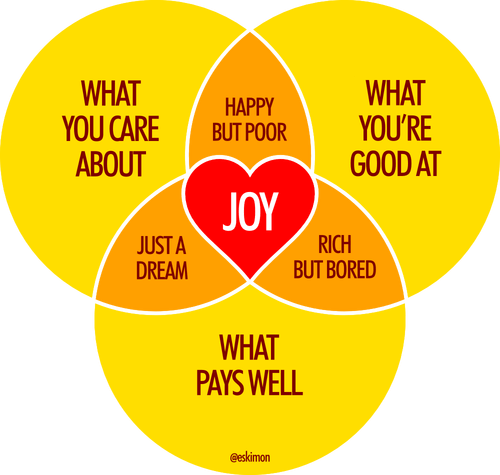 Venn Diagram of three main circles: What you care about, what you're good at, and what pays well. The middle heart simply says "Joy". The intersection of what you care about and what you're good at is "happy but poor". The intersection of what you're good at and what pays well is "rich but bored" and the intersection of what pays well and what you care about is "just a dream".  